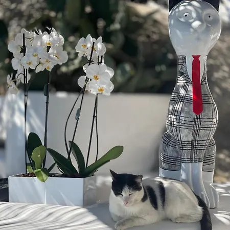 Anastasia By Spilia 3*