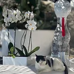 Anastasia By Spilia 3*