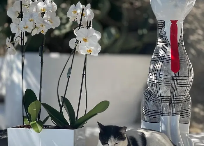 Anastasia By Spilia 3*